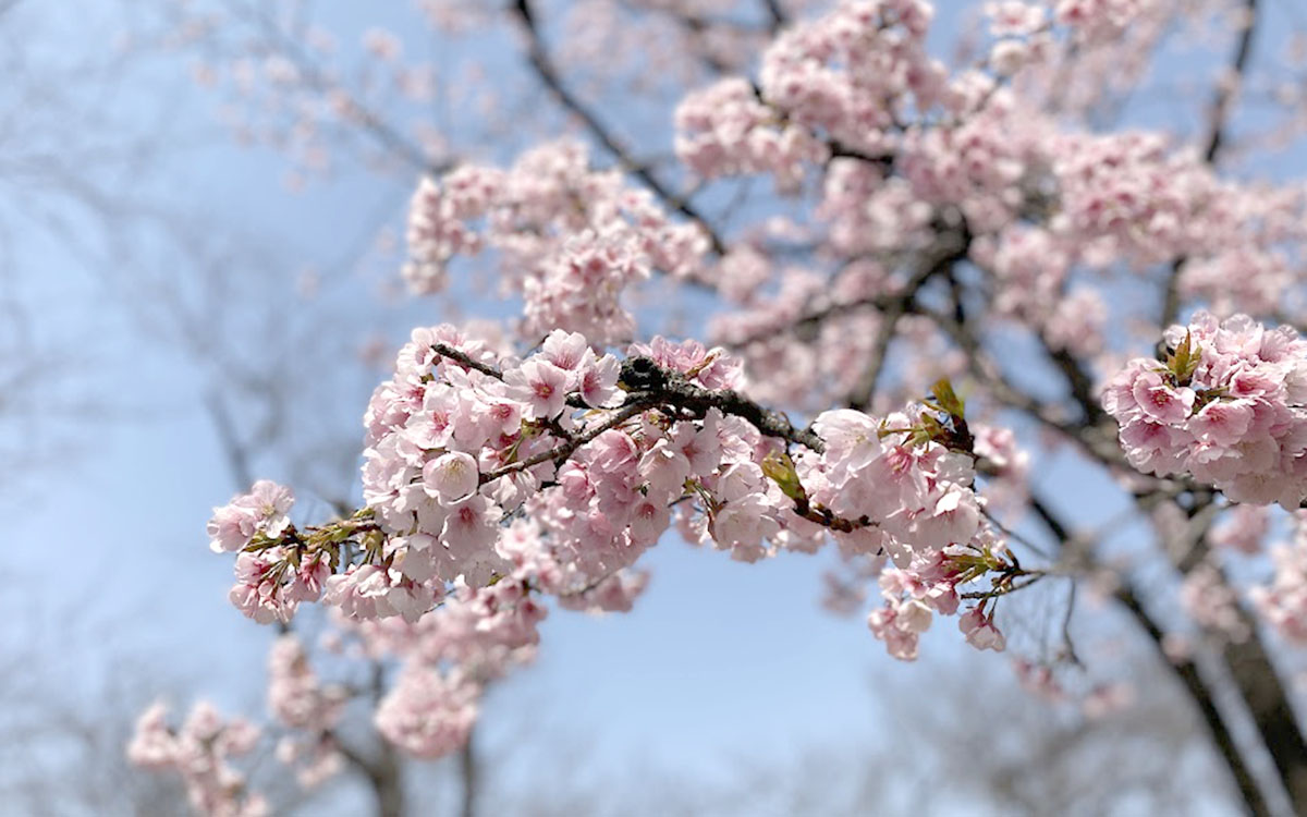 2023年4月 新年度がスタートしました。