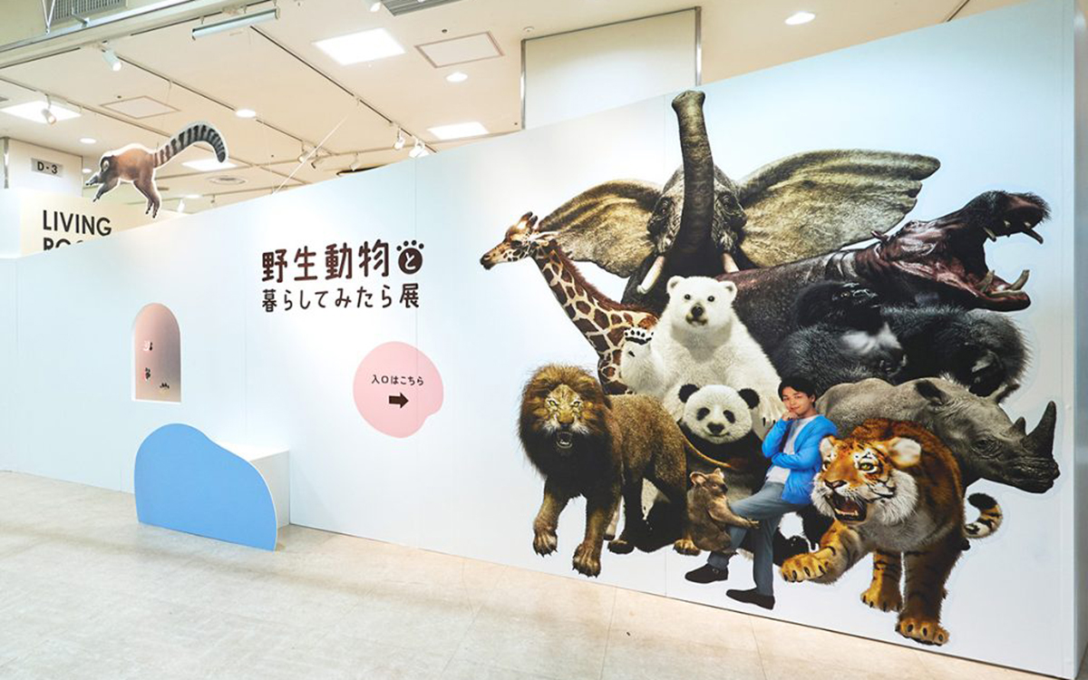 野生動物と暮らしてみたら展