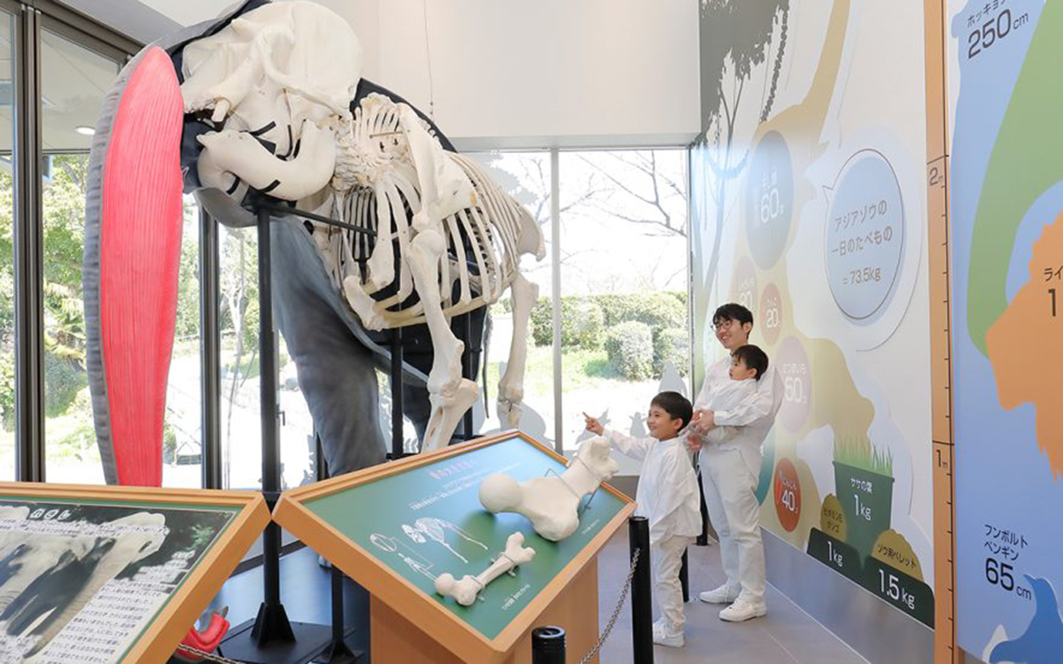 天王寺動物園学習棟 TENNOJI ZOO MUSEUM