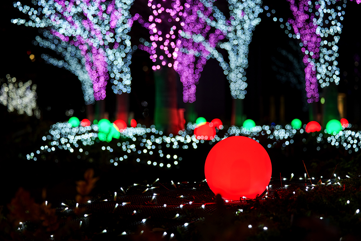 TOYOSU Heartwarming Illumination