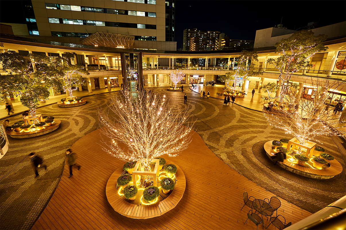 「豊洲イルミネーション」心に残る空間づくりと安全管理