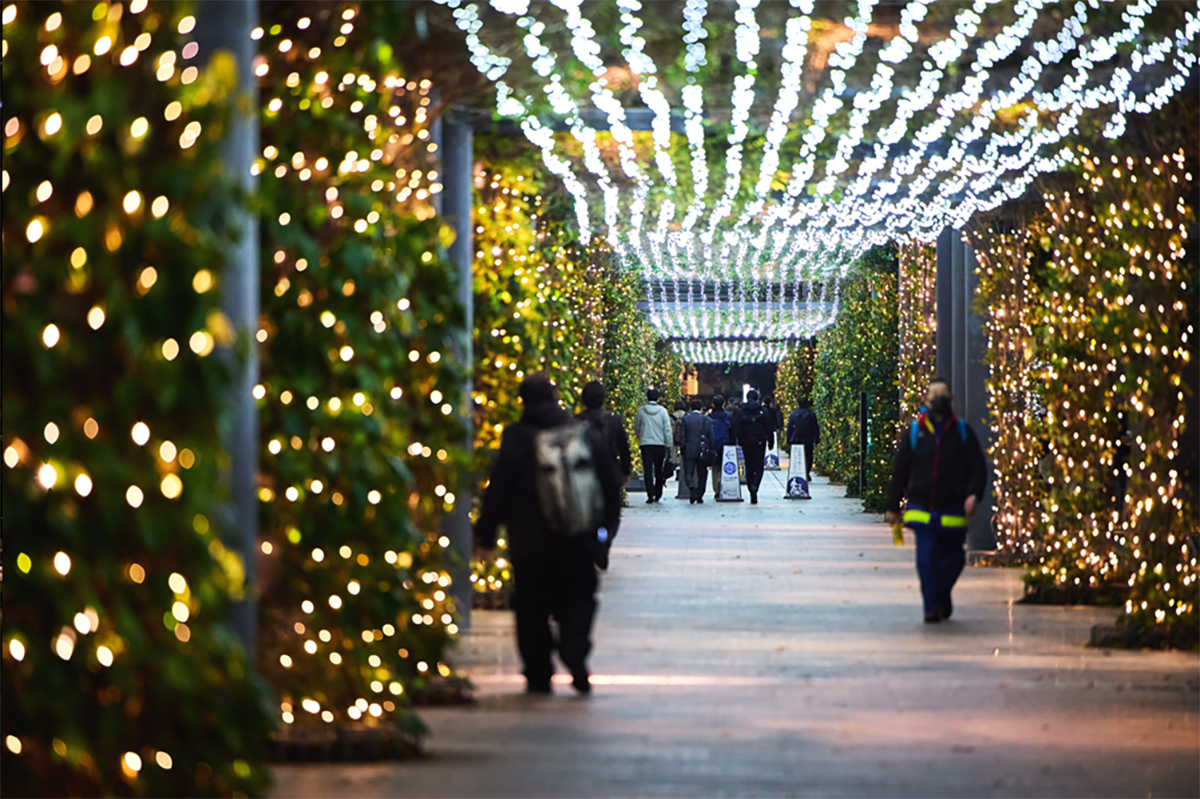 「おかえり」と「お疲れ様」の毎日の帰り道を彩るTOYOSU illumination