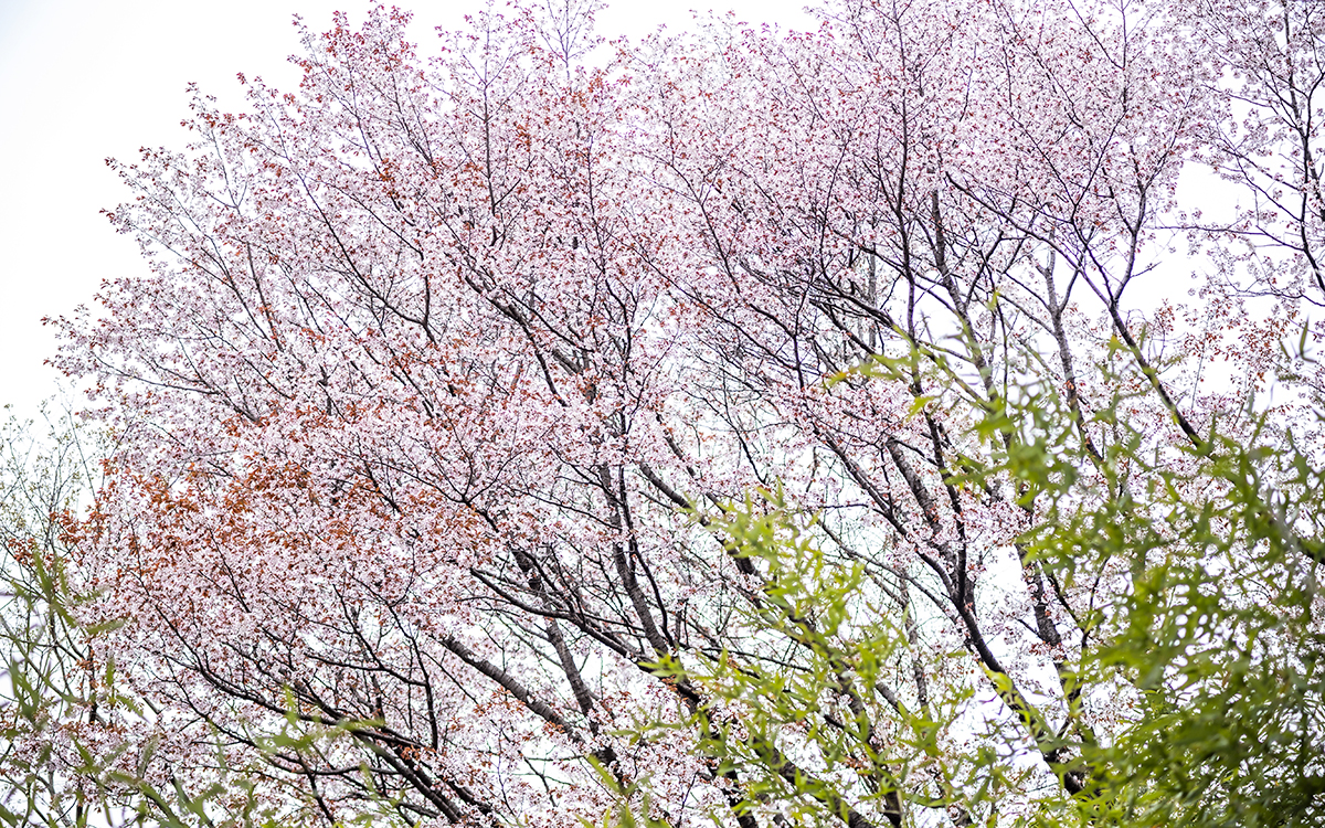 2026年度(第70期)がスタートしました‼